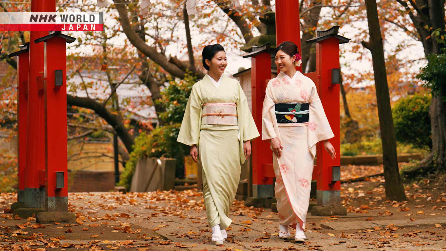 Check for Kimono Truth airing on a public television station near you!